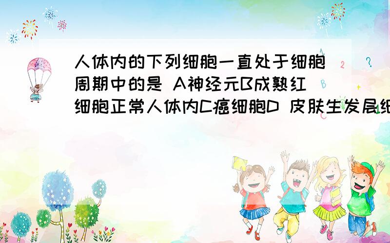 人体内的下列细胞一直处于细胞周期中的是 A神经元B成熟红细胞正常人体内C癌细胞D 皮肤生发层细胞