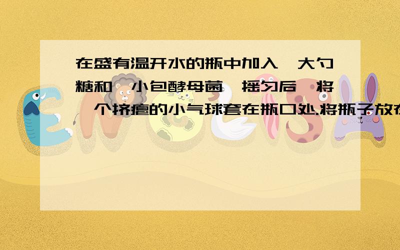 在盛有温开水的瓶中加入一大勺糖和一小包酵母菌,摇匀后,将一个挤瘪的小气球套在瓶口处.将瓶子放在25℃的条件下,一段时间后,瓶口的小气球鼓了起来（如图所示）,对此现象最好的解释是A.