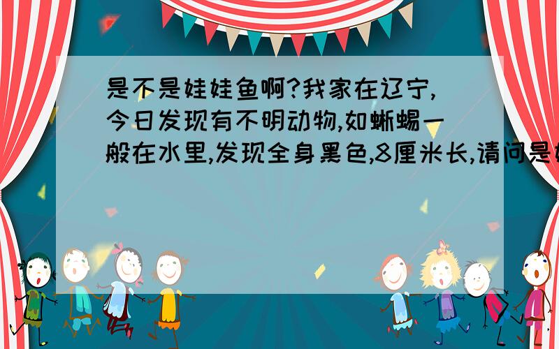 是不是娃娃鱼啊?我家在辽宁,今日发现有不明动物,如蜥蜴一般在水里,发现全身黑色,8厘米长,请问是娃娃鱼吗?是的话怎么吃?