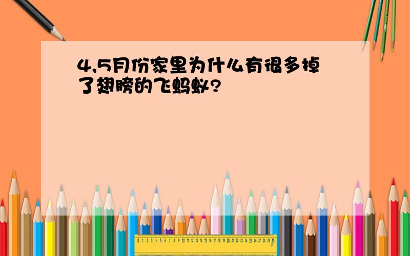 4,5月份家里为什么有很多掉了翅膀的飞蚂蚁?