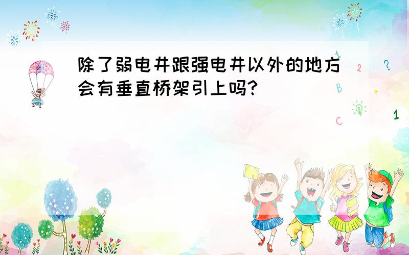 除了弱电井跟强电井以外的地方会有垂直桥架引上吗?