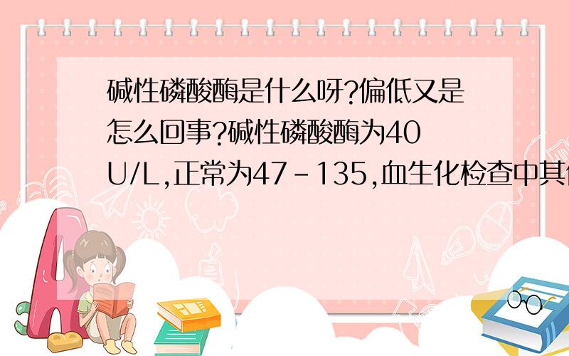 碱性磷酸酶是什么呀?偏低又是怎么回事?碱性磷酸酶为40 U/L,正常为47-135,血生化检查中其他基本正常,但碱性磷酸酶偏低是怎么回事呀?需要怎么治疗?