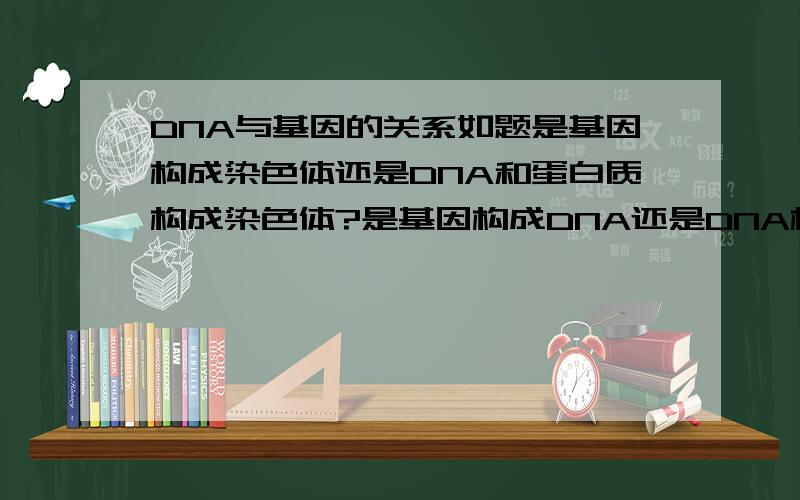 DNA与基因的关系如题是基因构成染色体还是DNA和蛋白质构成染色体?是基因构成DNA还是DNA构成基因?为什么DNA是生物的主要遗传物质?所谓基因是片段是什么意思?基因不是遗传因子吗?就这些