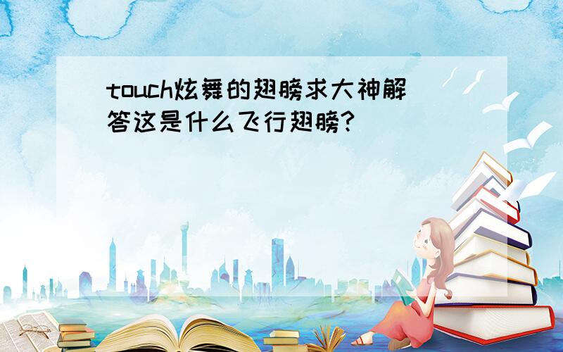 touch炫舞的翅膀求大神解答这是什么飞行翅膀?