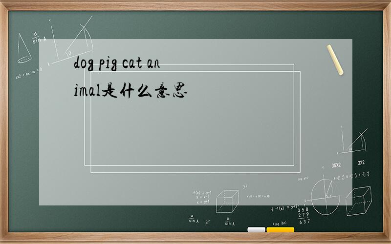 dog pig cat animal是什么意思