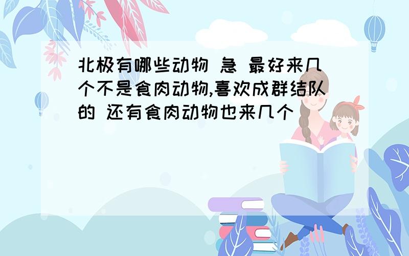 北极有哪些动物 急 最好来几个不是食肉动物,喜欢成群结队的 还有食肉动物也来几个