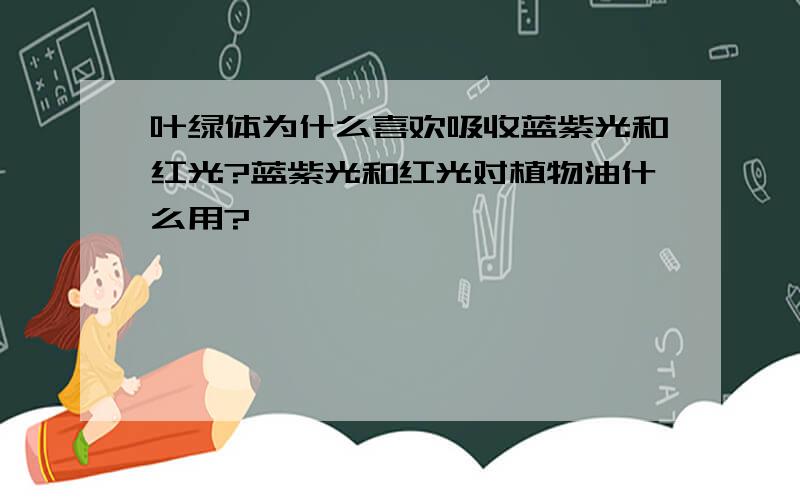 叶绿体为什么喜欢吸收蓝紫光和红光?蓝紫光和红光对植物油什么用?