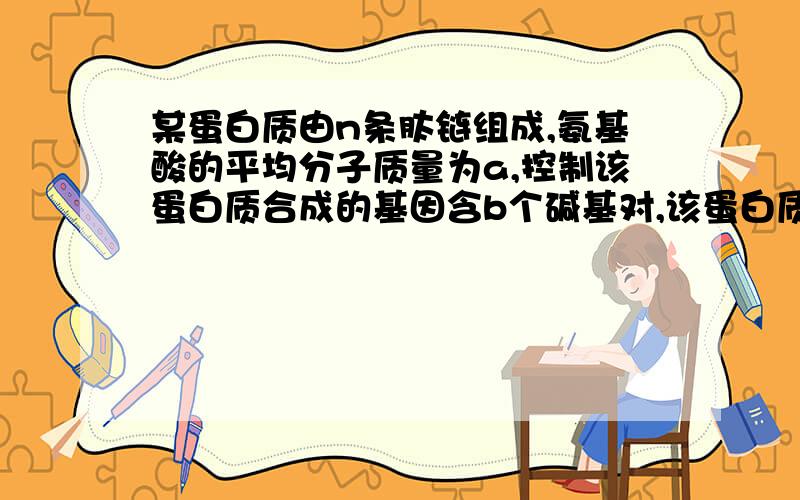 某蛋白质由n条肽链组成,氨基酸的平均分子质量为a,控制该蛋白质合成的基因含b个碱基对,该蛋白质的分子量