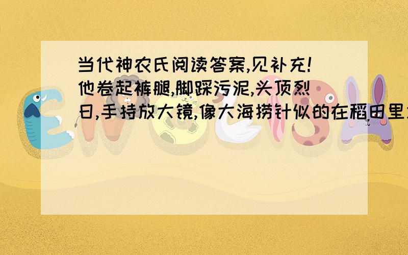 当代神农氏阅读答案,见补充!他卷起裤腿,脚踩污泥,头顶烈日,手持放大镜,像大海捞针似的在稻田里逐株逐穗地寻找.灼人的阳光晒黑了他的皮肤；小刀似的稻叶刮得他脸上、手上、腿上发痒发