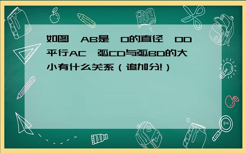 如图,AB是⊙O的直径,OD平行AC,弧CD与弧BD的大小有什么关系（追加分!）