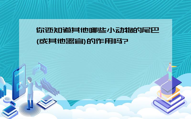 你还知道其他哪些小动物的尾巴(或其他器官)的作用吗?