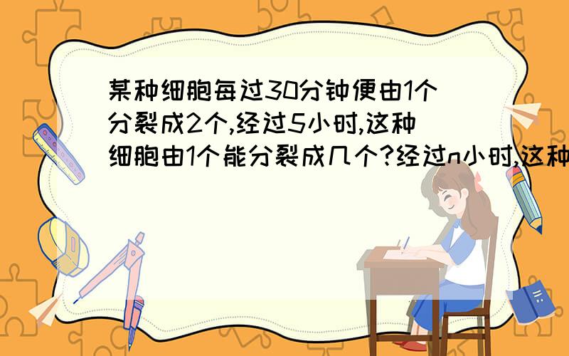 某种细胞每过30分钟便由1个分裂成2个,经过5小时,这种细胞由1个能分裂成几个?经过n小时,这种细胞由1个分裂成多少个?