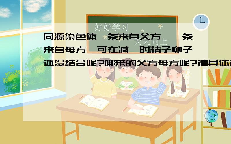 同源染色体一条来自父方,一条来自母方,可在减一时精子卵子还没结合呢?哪来的父方母方呢?请具体说明谢