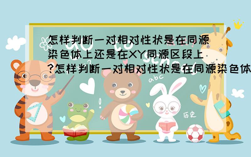 怎样判断一对相对性状是在同源染色体上还是在XY同源区段上?怎样判断一对相对性状是在同源染色体上还是在性染色体的同源区段上?更现实一点,你只知道这对性状的显隐性,怎样设计实验来