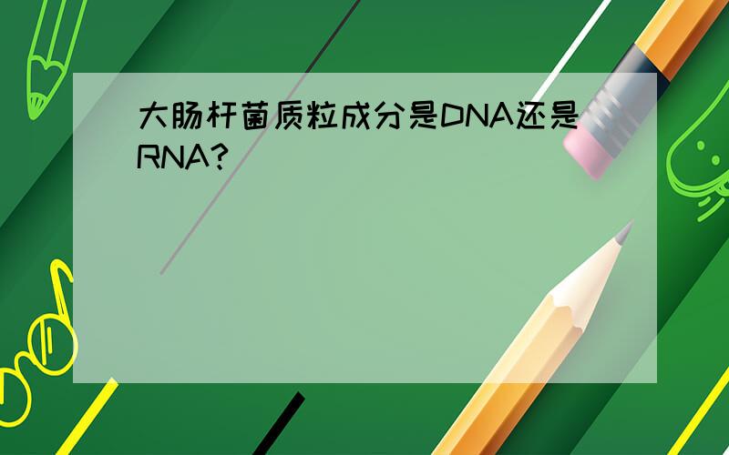 大肠杆菌质粒成分是DNA还是RNA?