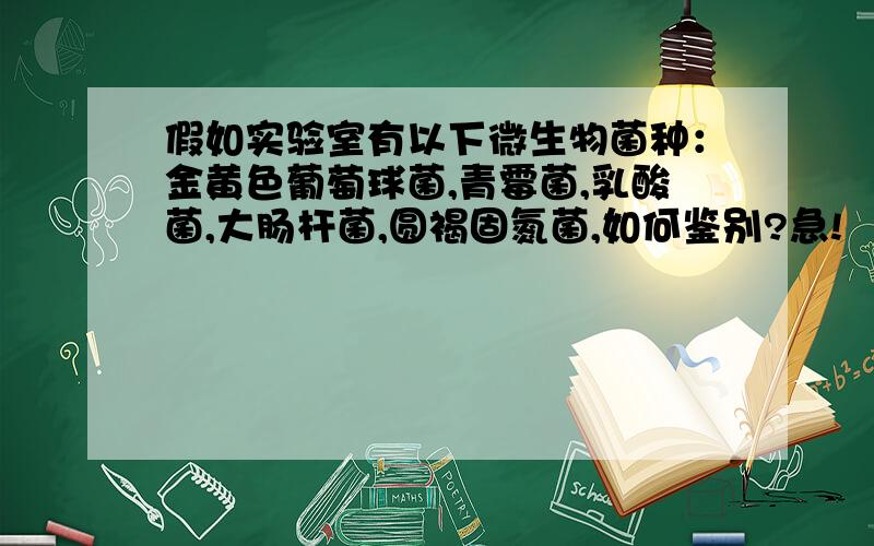 假如实验室有以下微生物菌种：金黄色葡萄球菌,青霉菌,乳酸菌,大肠杆菌,圆褐固氮菌,如何鉴别?急!