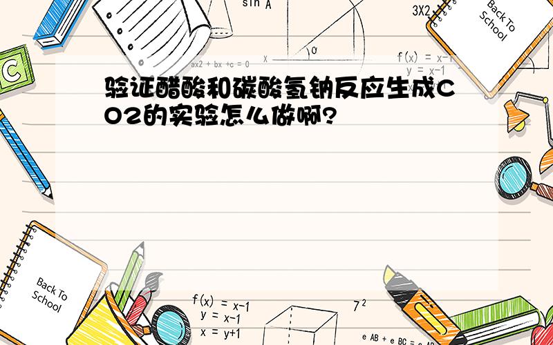 验证醋酸和碳酸氢钠反应生成CO2的实验怎么做啊?