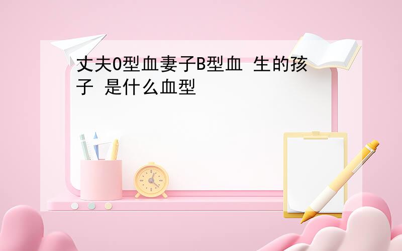 丈夫O型血妻子B型血 生的孩子 是什么血型