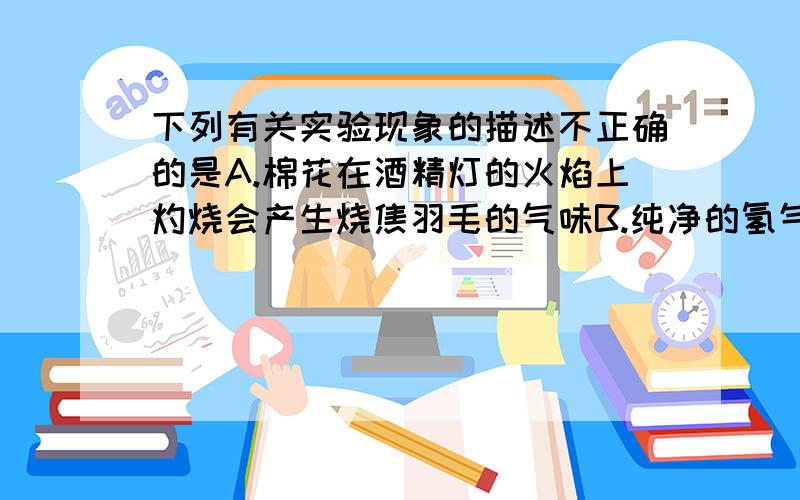 下列有关实验现象的描述不正确的是A.棉花在酒精灯的火焰上灼烧会产生烧焦羽毛的气味B.纯净的氢气在空气中点燃产生淡蓝色火焰C.铁丝在氧气中燃烧火星四射,放出大量的热,同时生成黑色