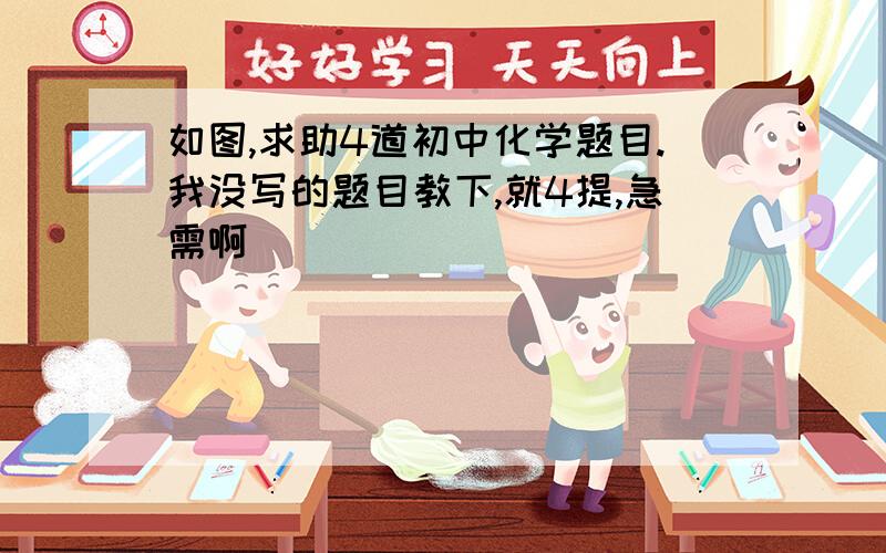 如图,求助4道初中化学题目.我没写的题目教下,就4提,急需啊