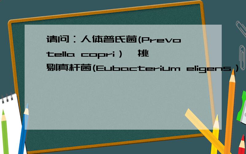 请问：人体普氏菌(Prevotella copri）,挑剔真杆菌(Eubacterium eligens）,Faecalibacterium prausnitzii属于哪个门啊?拟杆菌门还是厚壁菌门?