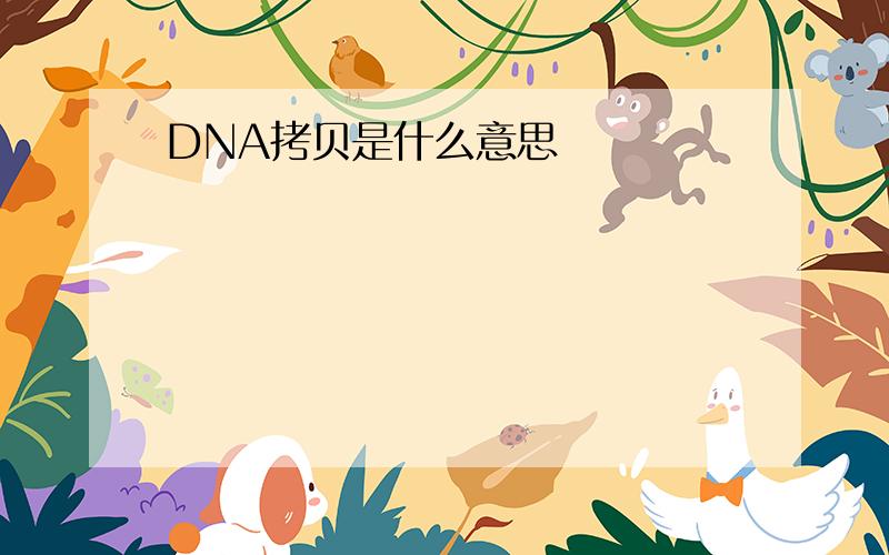 DNA拷贝是什么意思