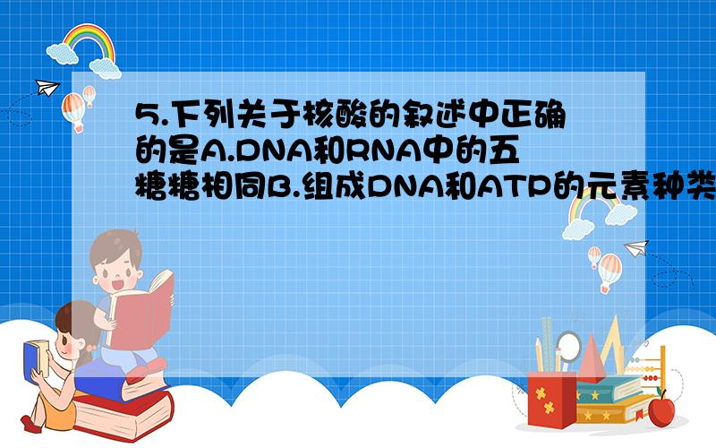 5.下列关于核酸的叙述中正确的是A.DNA和RNA中的五糖糖相同B.组成DNA和ATP的元素种类不同C.噬菌体的遗传物质是RNA D.DNA分子通常为双螺旋结构