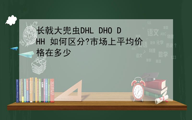 长戟大兜虫DHL DHO DHH 如何区分?市场上平均价格在多少