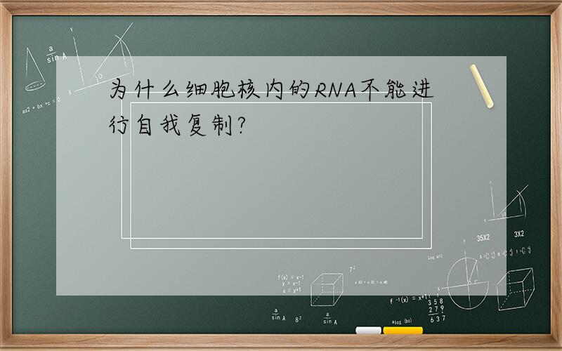 为什么细胞核内的RNA不能进行自我复制?