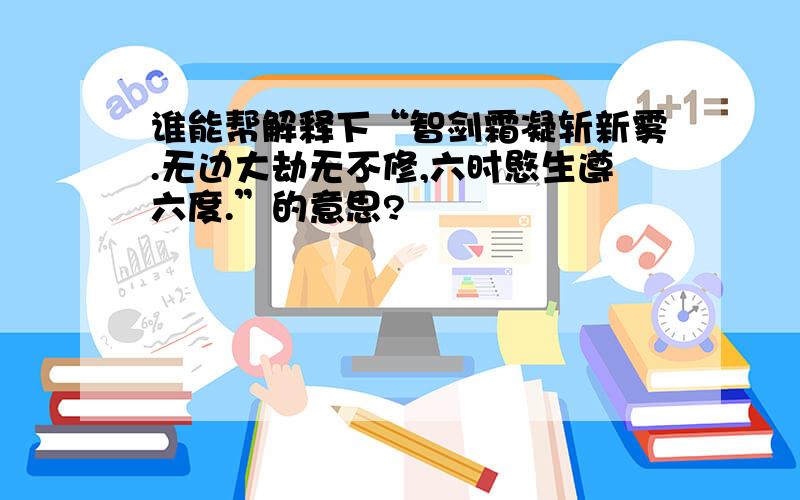 谁能帮解释下“智剑霜凝斩新雾.无边大劫无不修,六时愍生遵六度.”的意思?