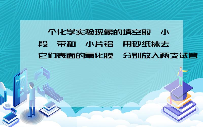 一个化学实验现象的填空取一小段镁带和一小片铝,用砂纸抹去它们表面的氧化膜,分别放入两支试管,再各加入2mL1mol/L盐酸.观察发生的现象.两只试管内部有（ ）冒出,但放（ ）的试管中逸出