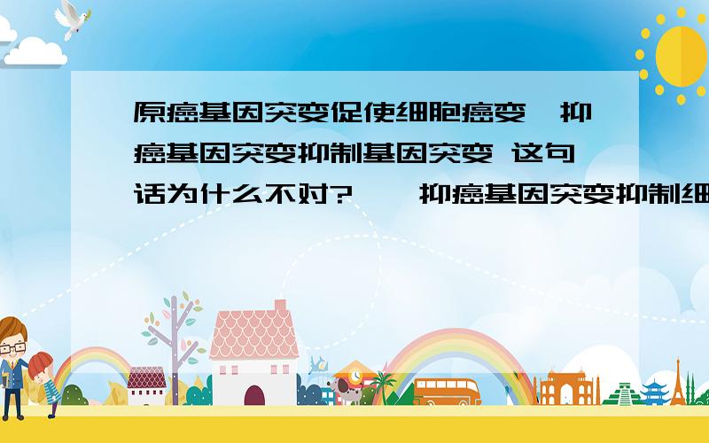 原癌基因突变促使细胞癌变,抑癌基因突变抑制基因突变 这句话为什么不对?⋯⋯抑癌基因突变抑制细胞癌变 打错了