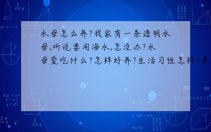 水母怎么养?我家有一条透明水母,听说要用海水,怎没办?水母爱吃什么?怎样好养?生活习性怎样?是透明的