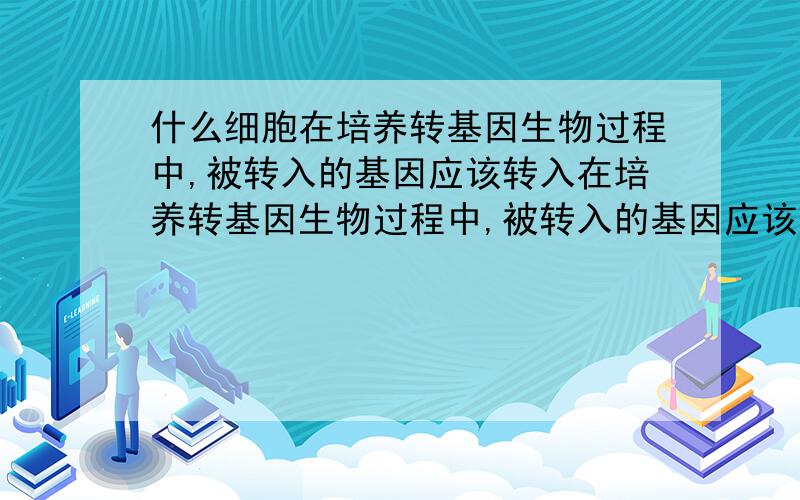 什么细胞在培养转基因生物过程中,被转入的基因应该转入在培养转基因生物过程中,被转入的基因应该转入下列那种细胞中?a体细胞b生殖细胞c胚胎细胞d卵细胞说根据!