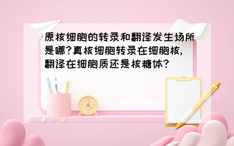 原核细胞的转录和翻译发生场所是哪?真核细胞转录在细胞核,翻译在细胞质还是核糖体?