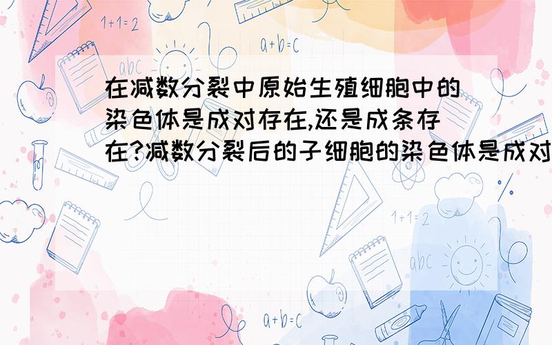 在减数分裂中原始生殖细胞中的染色体是成对存在,还是成条存在?减数分裂后的子细胞的染色体是成对存在,还是成条存在?为什么子细胞的染色体数目是原始生殖细胞的一半,我觉得两个染色