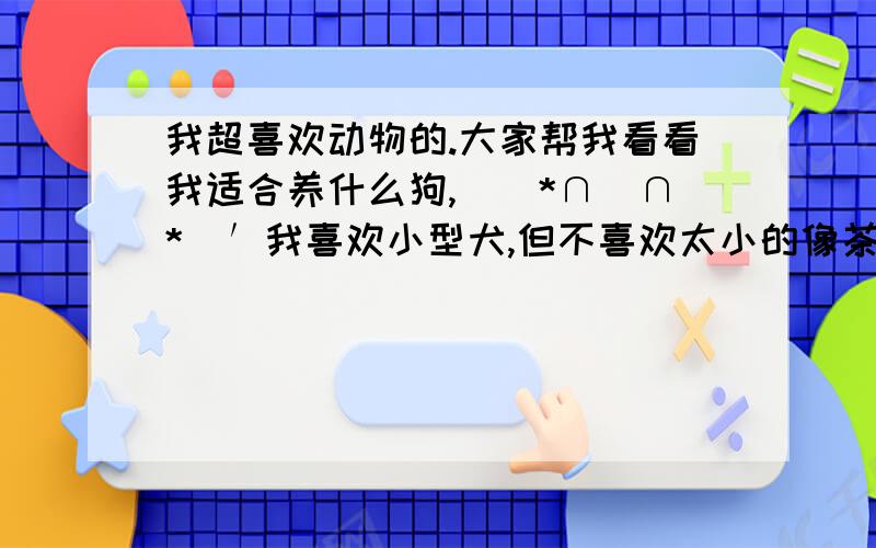 我超喜欢动物的.大家帮我看看我适合养什么狗,`(*∩_∩*)′我喜欢小型犬,但不喜欢太小的像茶杯犬那样的.狗狗要粘人,最好聪明点的,能训练握手啊,捡球的.容易养的,价钱10000以下,泰迪怎么样