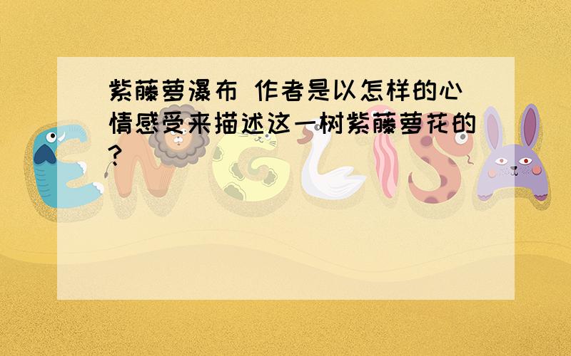 紫藤萝瀑布 作者是以怎样的心情感受来描述这一树紫藤萝花的?