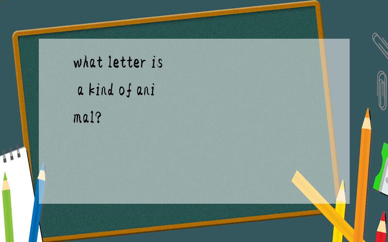 what letter is a kind of animal?