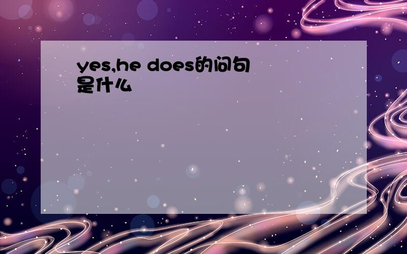 yes,he does的问句是什么