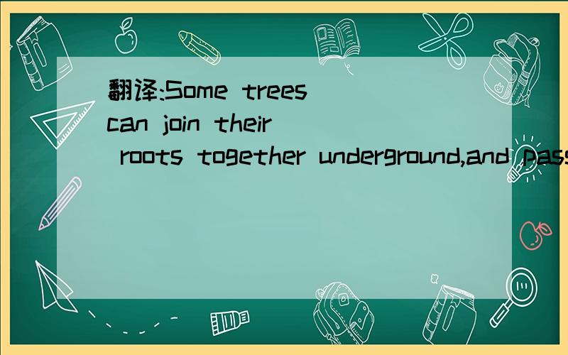 翻译:Some trees can join their roots together underground,and pass each other food and water.