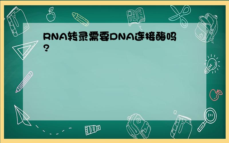 RNA转录需要DNA连接酶吗?