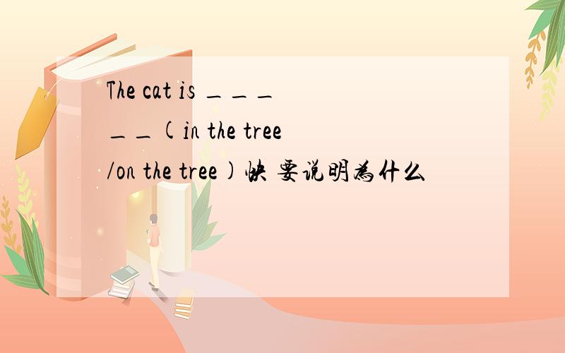 The cat is _____(in the tree/on the tree)快 要说明为什么