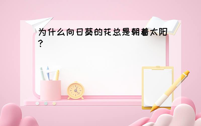 为什么向日葵的花总是朝着太阳?