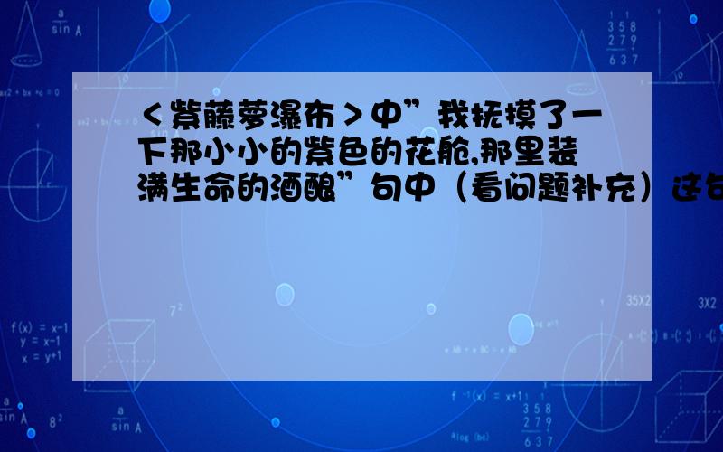 ＜紫藤萝瀑布＞中”我抚摸了一下那小小的紫色的花舱,那里装满生命的酒酿”句中（看问题补充）这句话里的”生命的酒酿”指代的内容是什么