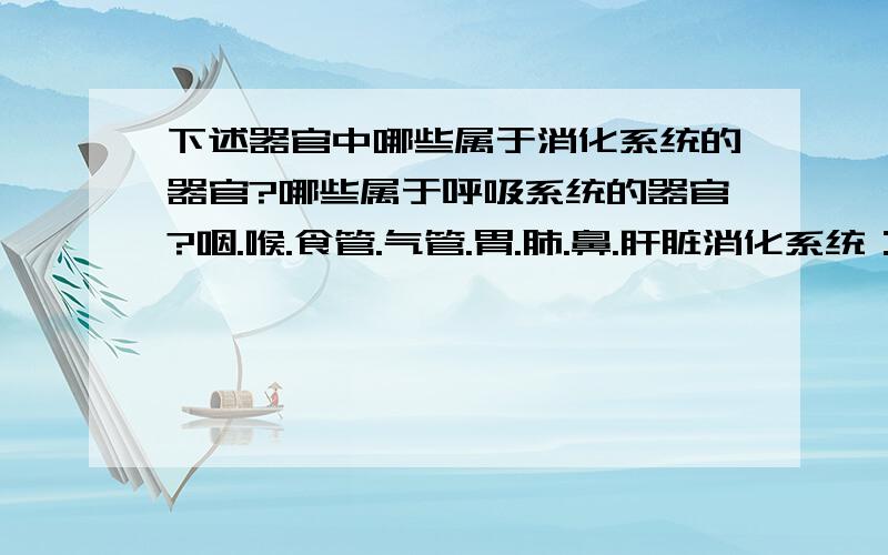 下述器官中哪些属于消化系统的器官?哪些属于呼吸系统的器官?咽.喉.食管.气管.胃.肺.鼻.肝脏消化系统：________________________呼吸系统：________________________