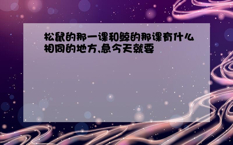 松鼠的那一课和鲸的那课有什么相同的地方,急今天就要