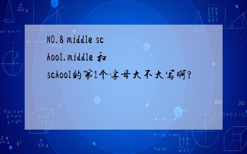 NO.8 middle school,middle 和 school的第1个字母大不大写啊?