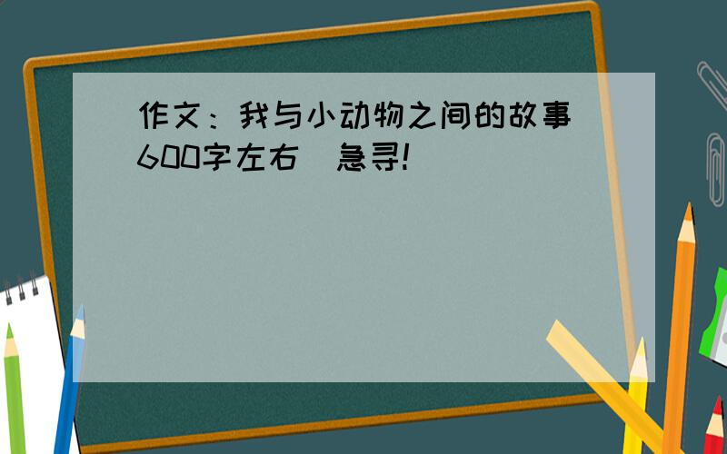 作文：我与小动物之间的故事（600字左右）急寻!