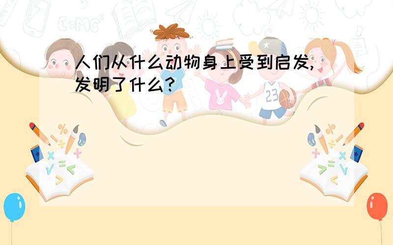 人们从什么动物身上受到启发,发明了什么?